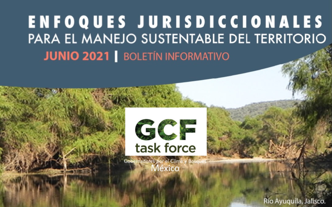 Updates from GCFTF Mexico
