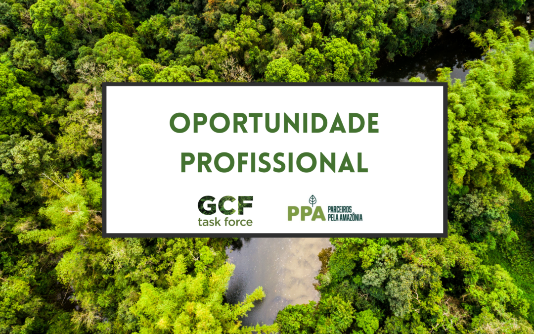 Oportunidade Profissional – GCF Task Force Brasil