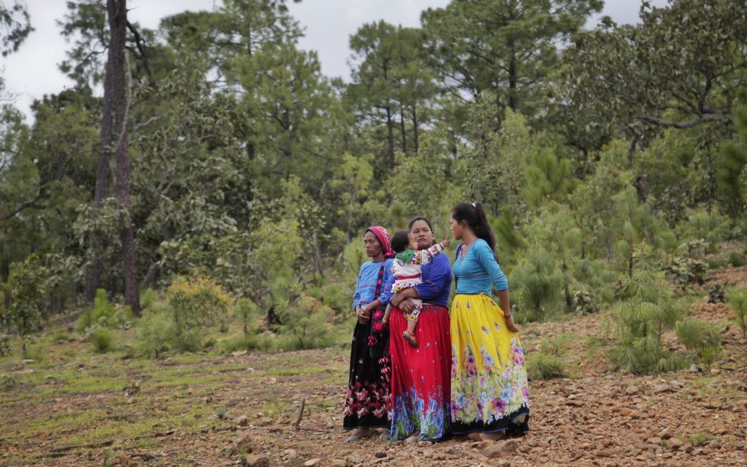 State Government and Indigenous Peoples in favor of sustainable rural development