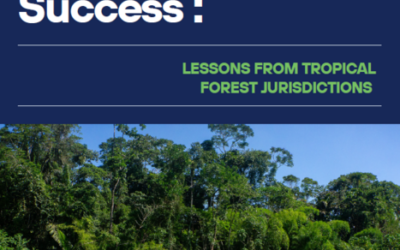 Subnational Success: Lessons from Tropical Forest Jurisdictions